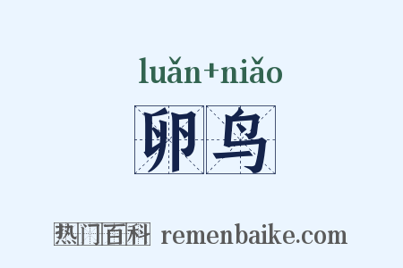 卵鸟是什么意思的图片